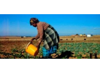 «Crisi alimentare un bluff
allarmi controproducenti»